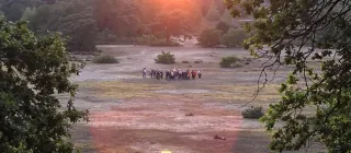 Sfeerfoto Brugkamp