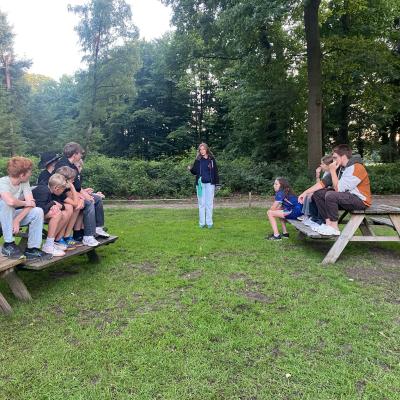 Deelnemers aan picknicktafels op het grasveld