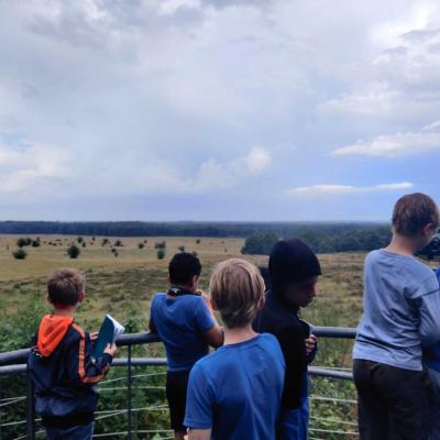 Deelnemers kijken uit over de heide