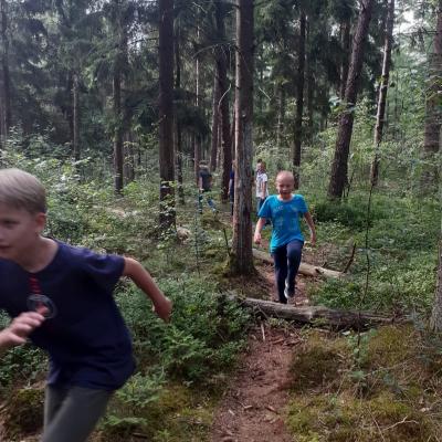 Deelnemers rennen over een bospad